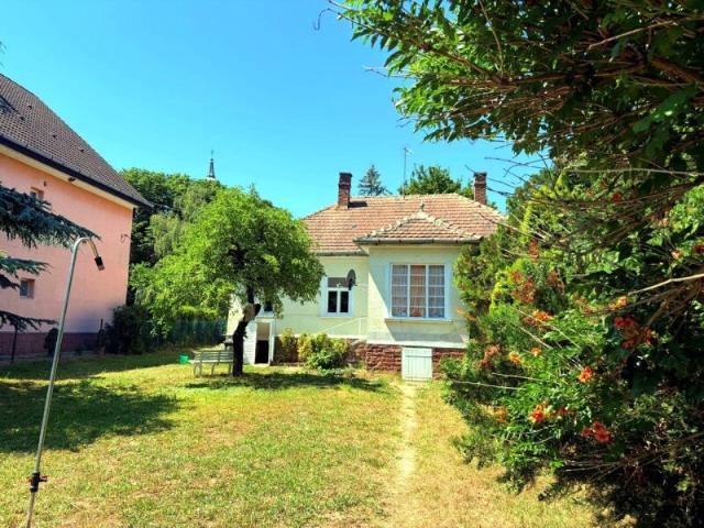 Einfamilienhaus kaufen