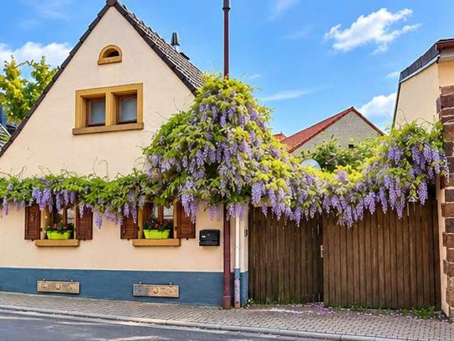 Haus kaufen in Biedesheim, Donnersbergkreis