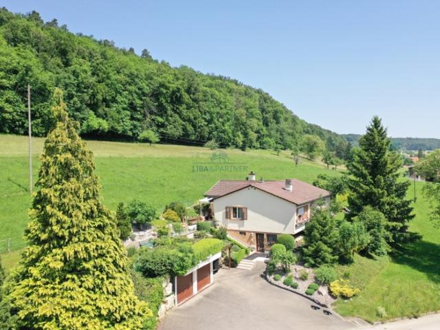 Einfamilienhaus kaufen in Hochwald, Amtei Dorneck-Thierstein