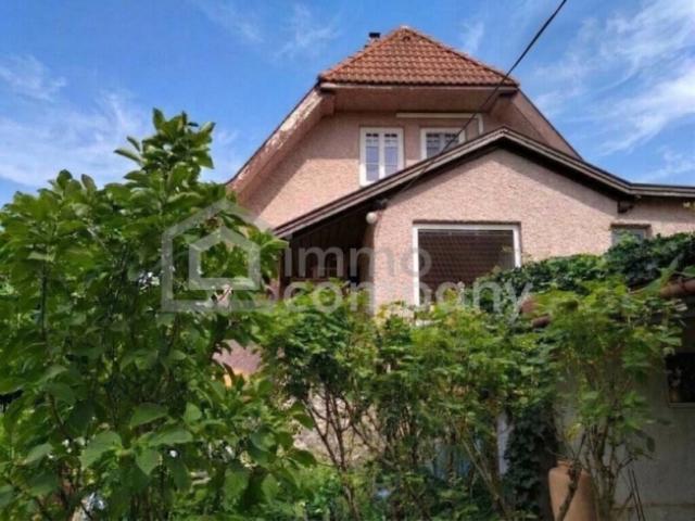 Einfamilienhaus kaufen