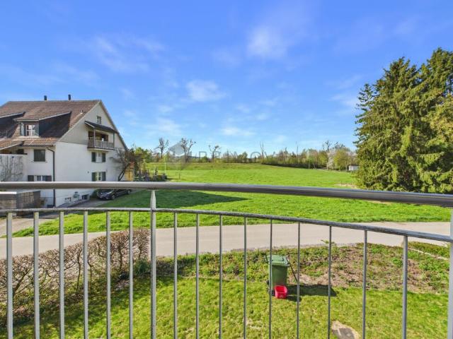 Einfamilienhaus kaufen in Uesslingen-Buch, Thurgau