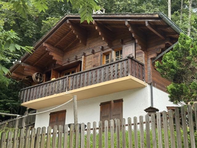 Haus kaufen in Gryon, Waadt