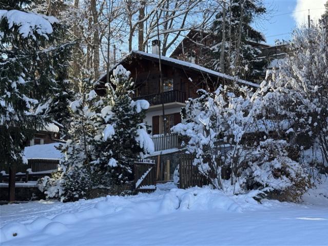 Haus kaufen in Gryon, Waadt