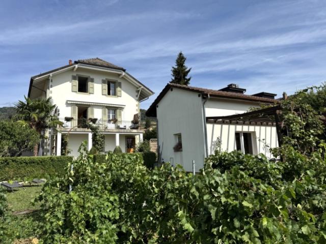 Einfamilienhaus kaufen in Mont-sur-Rolle, Waadt