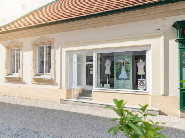 Gewerbe mieten in Baden, Niederösterreich