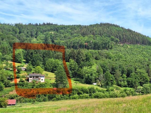 Haus kaufen in Ettenheim, Baden-Württemberg