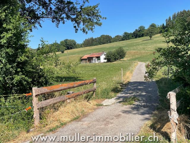 Reihenfamilienhaus kaufen in Onnens (FR), Freiburg