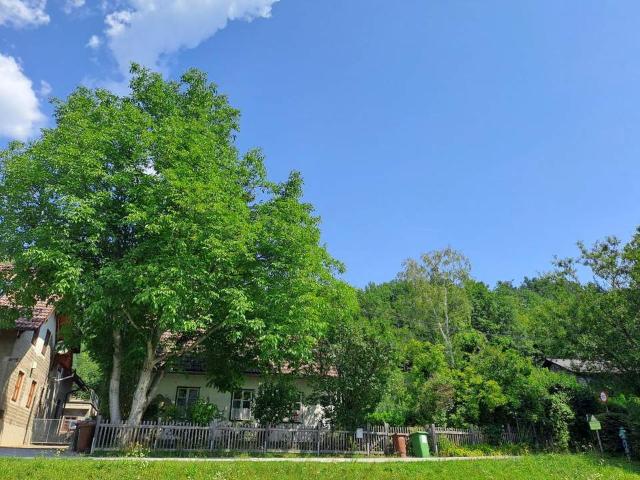 Haus kaufen in Neunkirchen, Niederösterreich