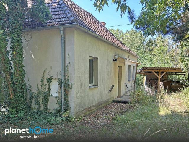 Haus kaufen in Großwarasdorf, Burgenland