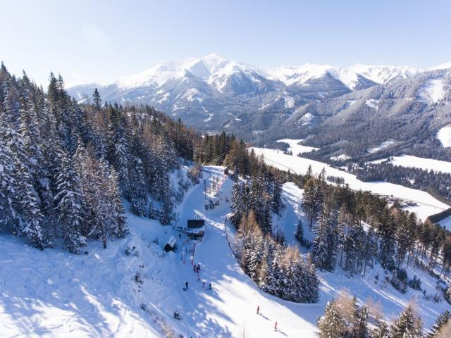 Gewerbe kaufen in Hohentauern, Steiermark