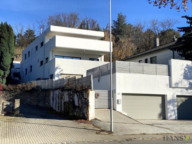 Mehrfamilienhaus kaufen in Neusiedl am See, Burgenland