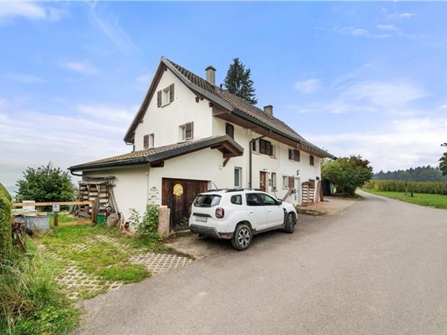 Einfamilienhaus kaufen in Villaz-Saint-Pierre, Freiburg