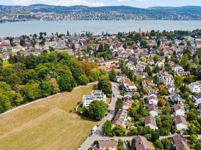 Haus kaufen in Einigen, Zürich