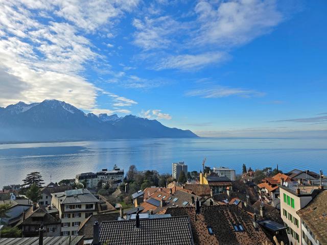 Reihenfamilienhaus kaufen in Veytaux, Waadt