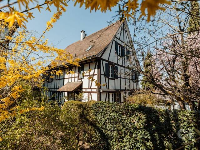 Haus kaufen in Allschwil, Basel-Landschaft