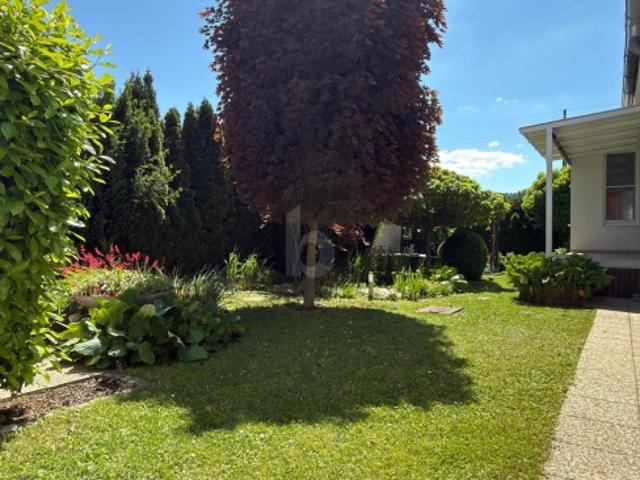 Einfamilienhaus kaufen in Kobersdorf, Burgenland