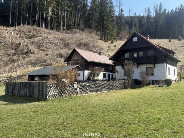 Haus kaufen in Tragöß, Steiermark