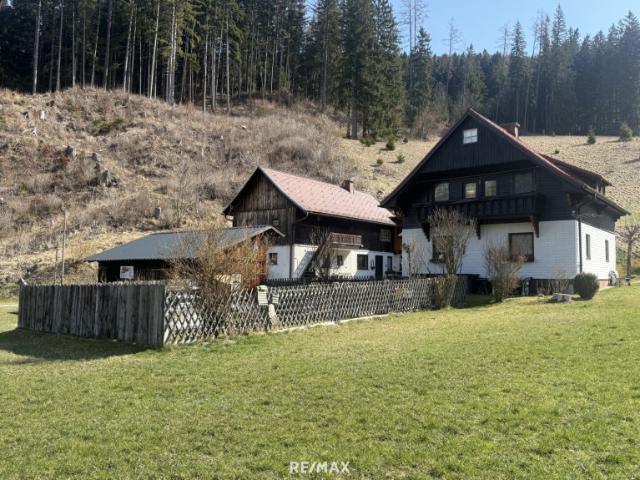 Haus kaufen in Tragöß, Steiermark