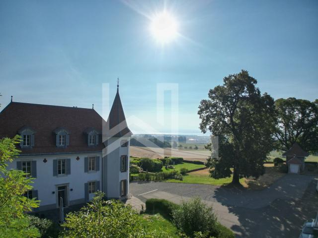 Reihenfamilienhaus kaufen in Chéserex, Waadt
