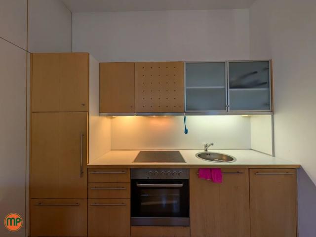 Apartment mieten in KG Unter St. Veit, Wien