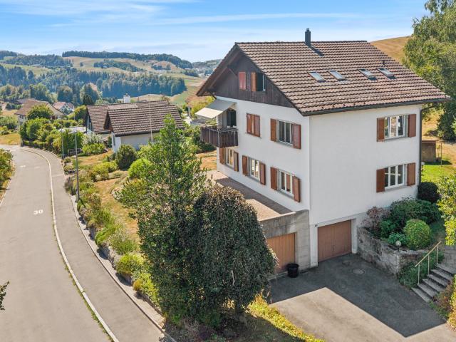 Haus kaufen in Horgen, Zürich