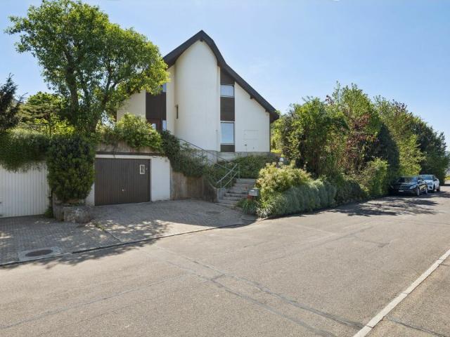 Haus kaufen in Therwil, Bezirk Arlesheim