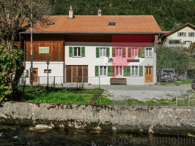 Haus kaufen in Neirivue, Freiburg