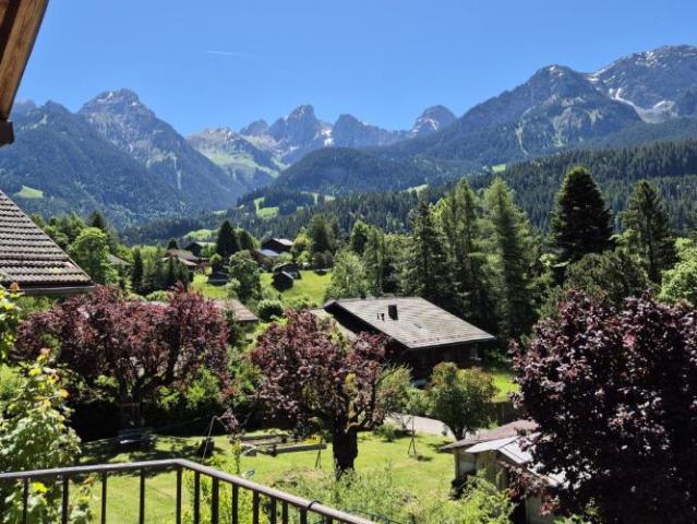 Wohnung kaufen in Château-d'Oex, Waadt