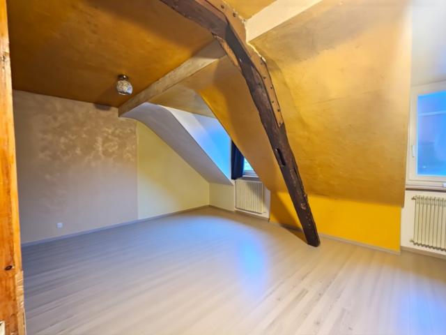 Appartement vente à Altkirch