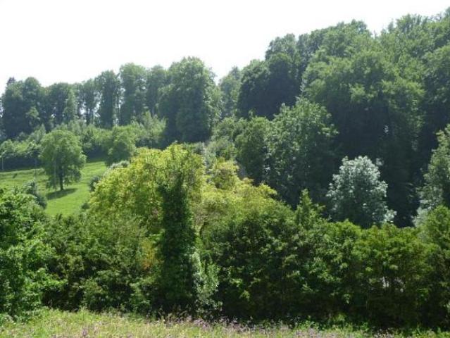 Wohnung kaufen in Romainmôtier, Waadt