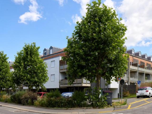 Apartment mieten in Waadt