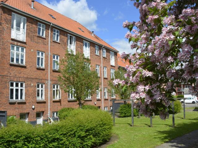 Lejlighed til leje i Fredericia