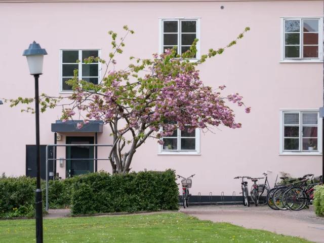Lägenhet hyra i Gotland, Skåne