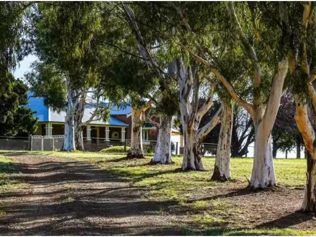 House for rent in Orange, New South Wales