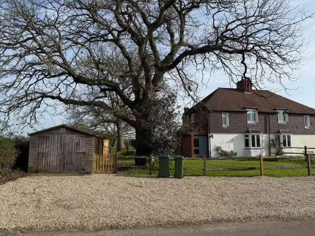 House for rent