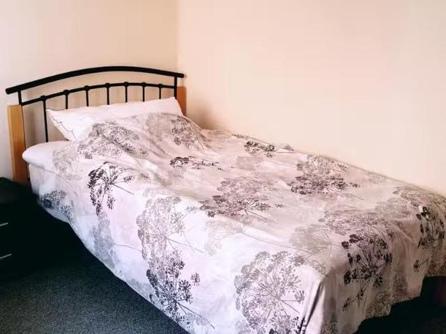 House for rent
