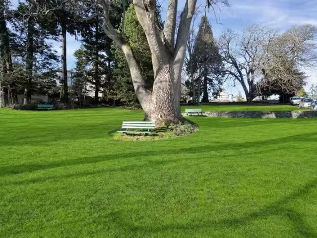 Condo for rent in Victoria, British Columbia