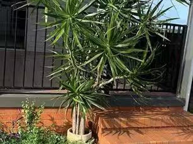 House for rent in Lake Clarendon, Queensland