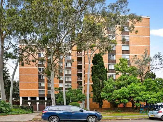 House for rent in Strathfield, New South Wales
