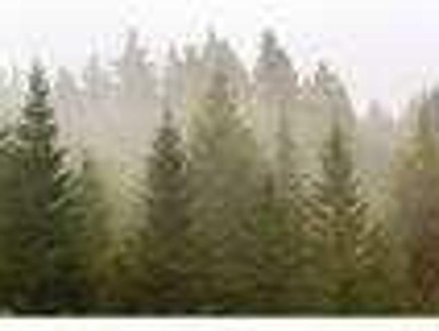 House for rent in Spokane Valley, Spokane County