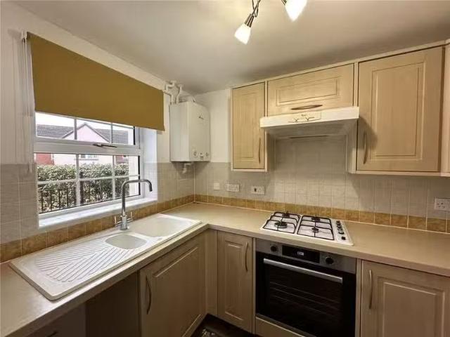 House for rent