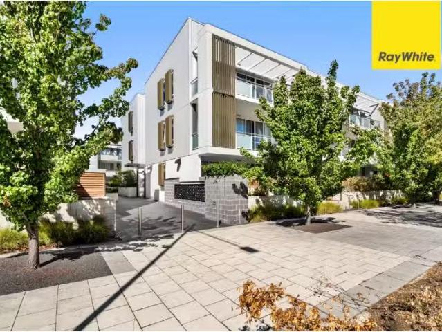 House for rent in Phillip, District of Woden Valley