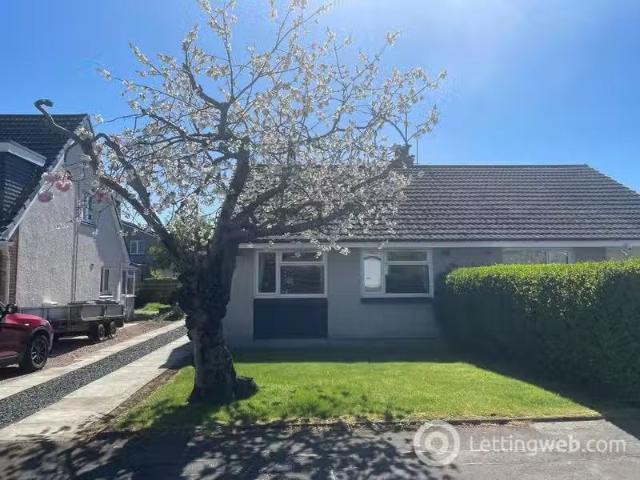 House for rent