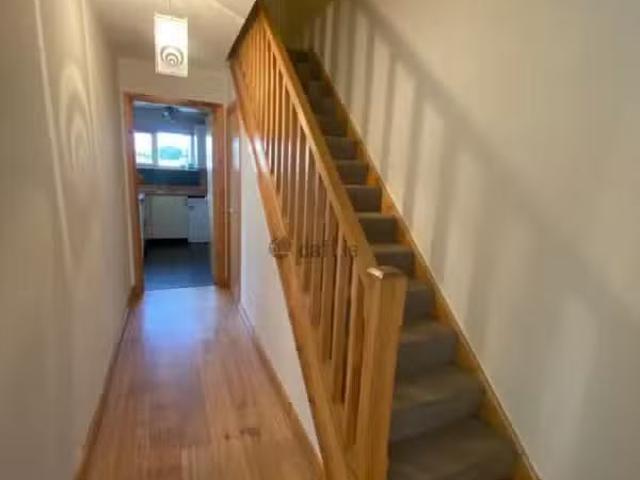 House to rent