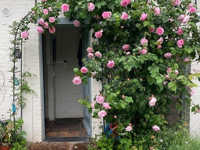 Maison location à Kortenaken, Brabant