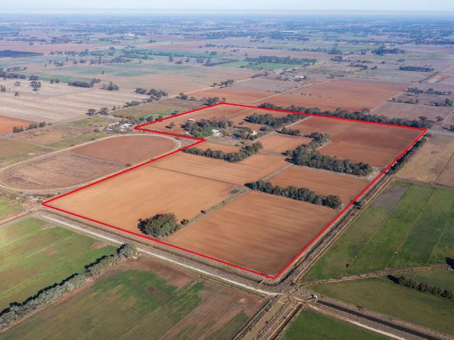 Cottage for sale in Gillieston