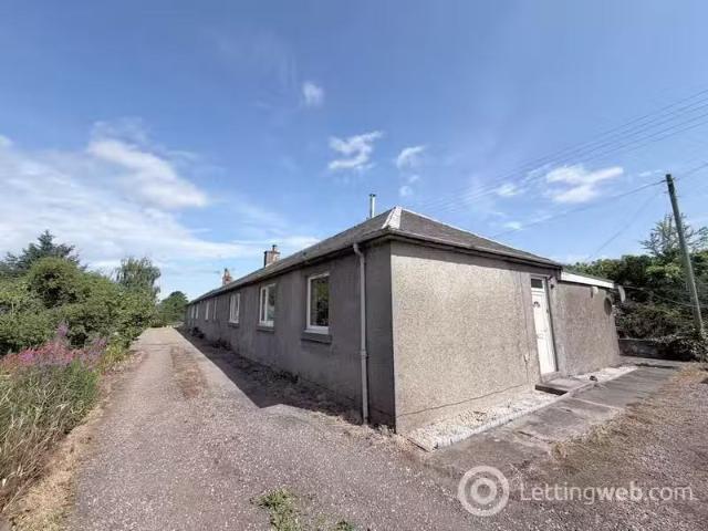 House for rent