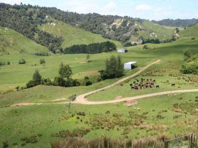 House for rent in Taranaki