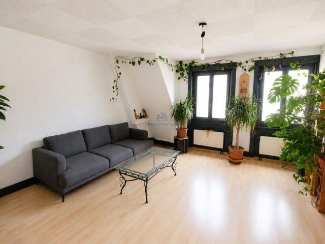 Apartment mieten in Basel, Basel-Stadt