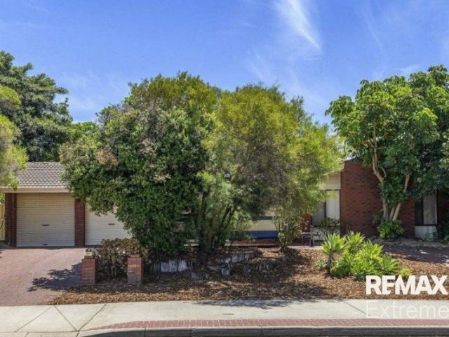 House for rent in Alexander Heights, Western Australia